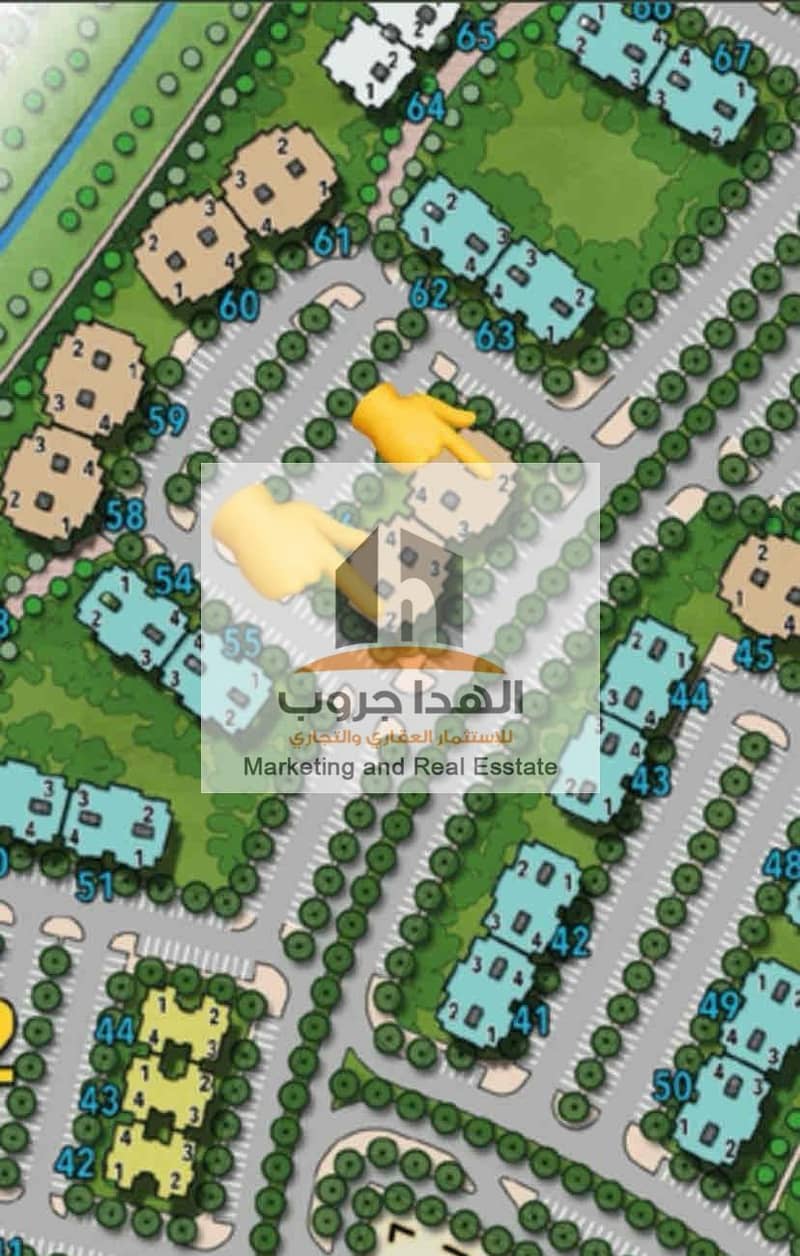 IMG_3552. jpg IMG_3552. jpg