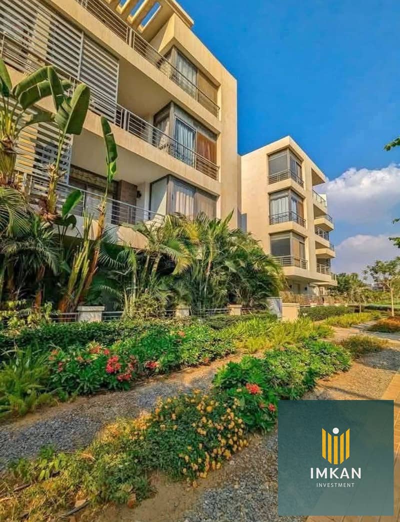 IMG_9817. jpeg IMG_9817. jpeg