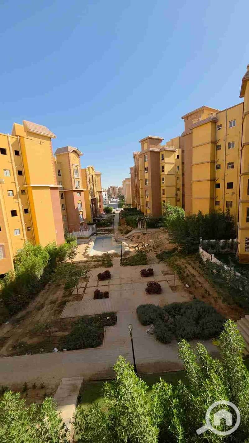 2 132790. jpg