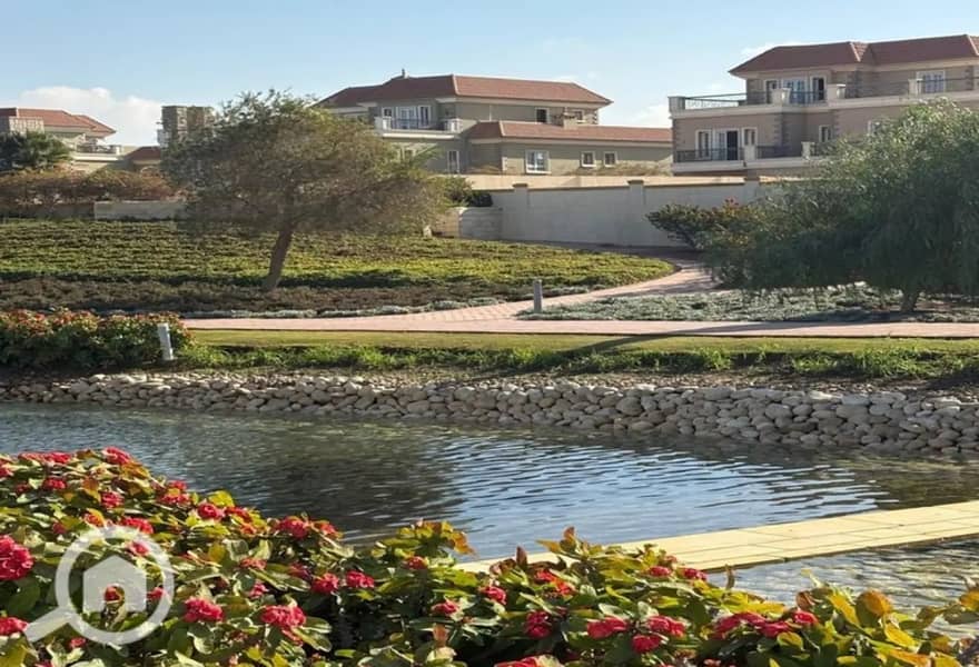 5 7845083-69219o. jpg