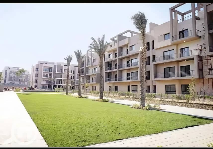 560915279_122179825268485890_2703044955528789576_n. jpg 560915279_122179825268485890_2703044955528789576_n. jpg