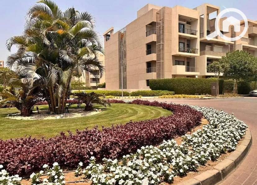 9 564255358_2571164479906202_4684027076396025733_n. jpg