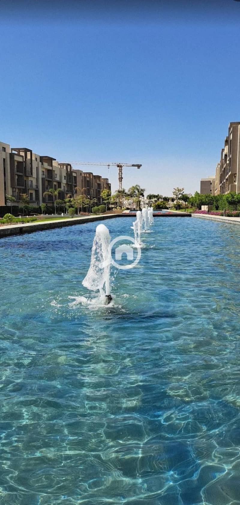 13 568056738_122262480494208156_2471133640097788559_n. jpg