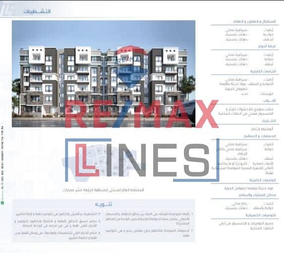 3 WhatsApp Image 2025-10-22 at 3.17. 44 AM (3). jpeg