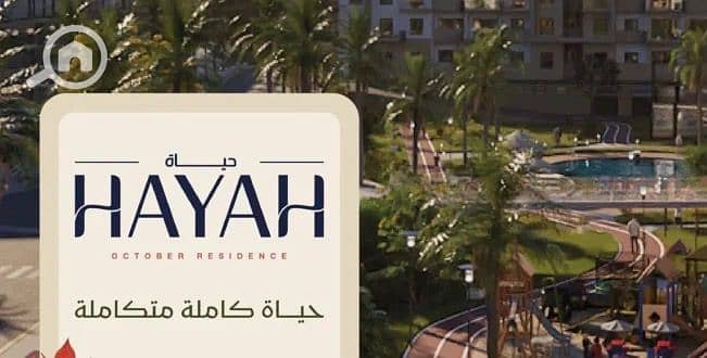 3 WhatsApp Image 2025-10-20 at 4.16. 09 PM (2). jpeg