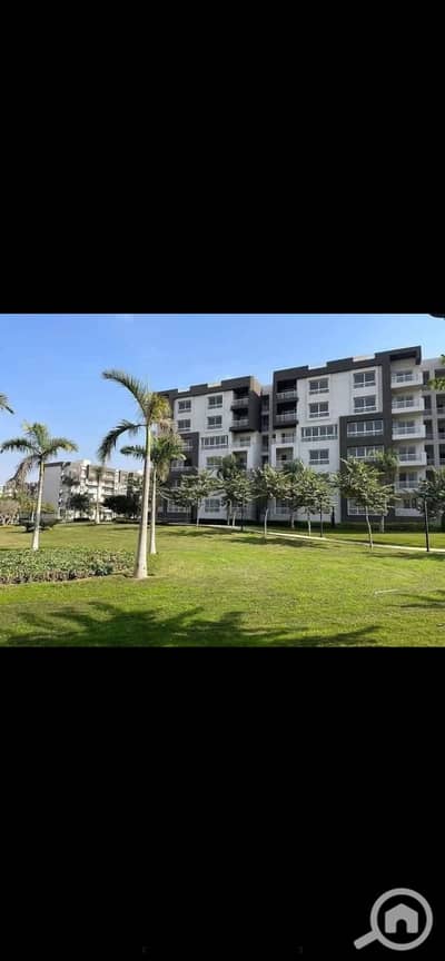 فلیٹ 2 غرفة نوم للايجار في مدينتي، القاهرة - IMG_7663. png