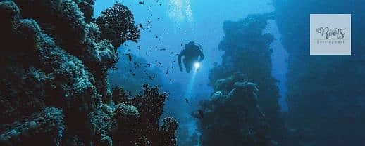 18 Screenshot 2025-05-21 145852. png