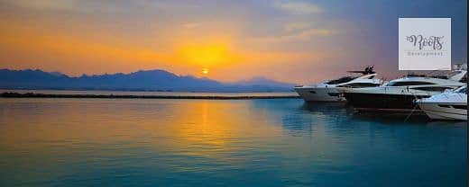 19 Screenshot 2025-05-21 145903. png