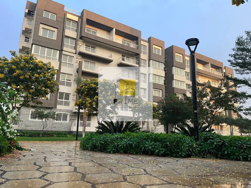 7 WhatsApp Image 2025-06-19 at 01.44. 28_ed55204c. jpg