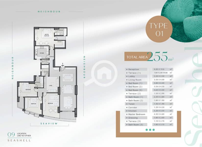 2 SeaShell[1]_1. jpg