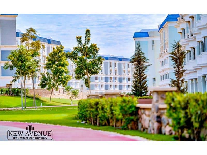 12 Mountain-View-Hyde-Park-17. jpg