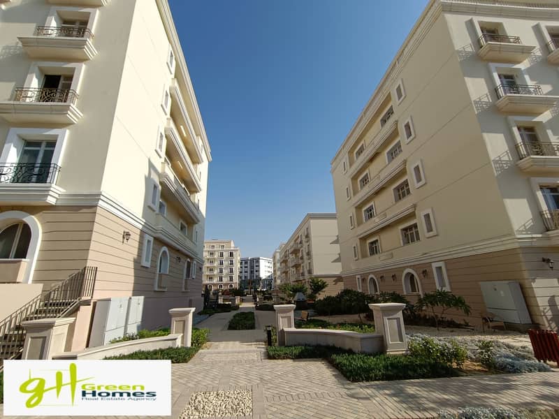 3 IMG_20230815_171544. jpg