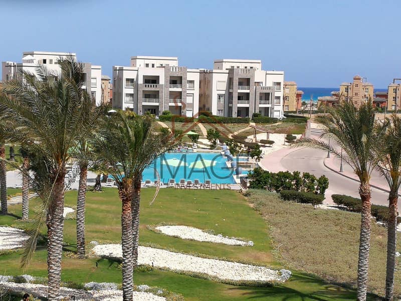 11 WhatsApp Image 2025-10-11 at 3.25. 32 PM. jpeg