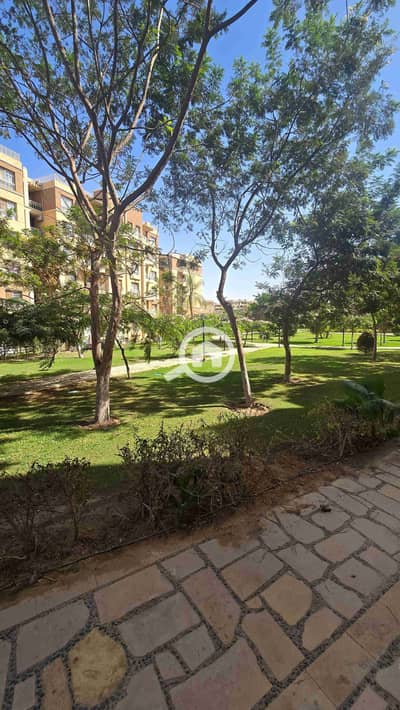3 Bedroom Flat for Rent in Madinaty, Cairo - 1000528230. jpg