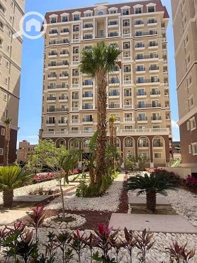 3 8da2d9ce-357a-4ada-b820-c9edaa43bb30. jpg