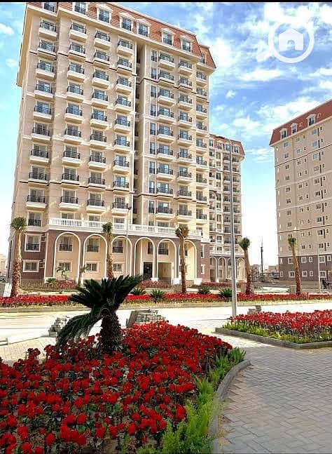 7 b51618d1-4a1a-498e-ba19-0657099e0531. jpg