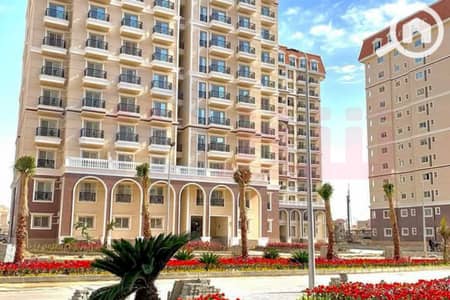 3 Bedroom Flat for Sale in Moharam Bik, Alexandria - WhatsApp Image 2025-06-18 at 4.16. 09 PM. jpg