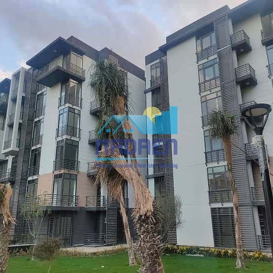 7 471424227_998239429005478_1671273584678901789_n. jpg