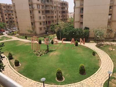 3 Bedroom Flat for Rent in Madinaty, Cairo - U929797 (4). jpeg