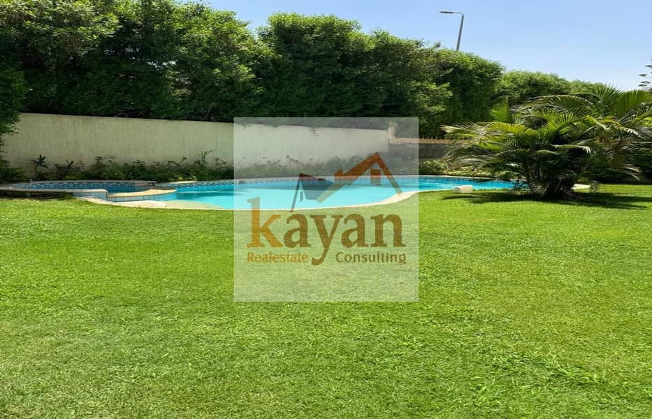 5 e113e166-fe53-4336-8a04-f4f024641c51. jpg