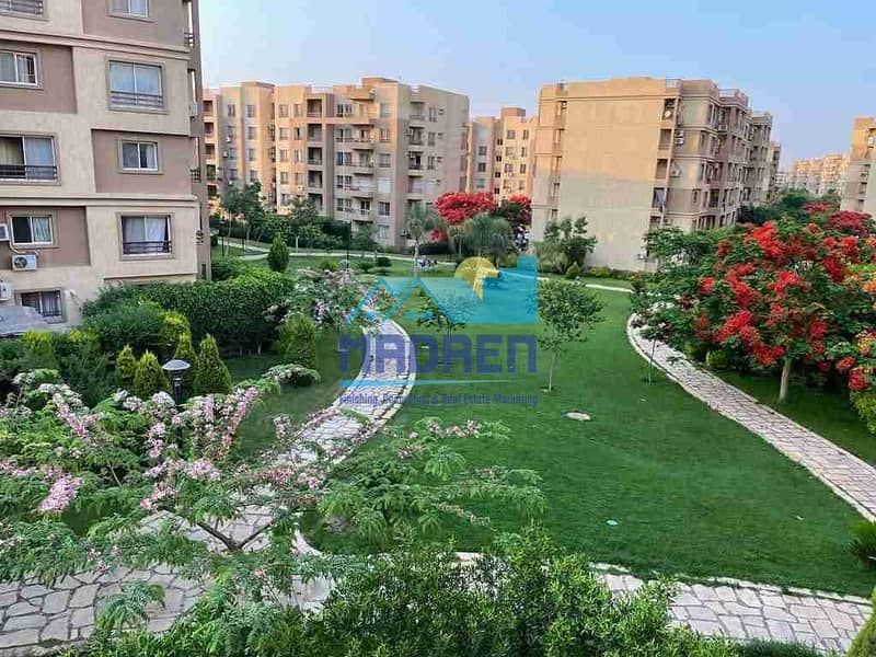 1000267613. jpg 1000267613. jpg