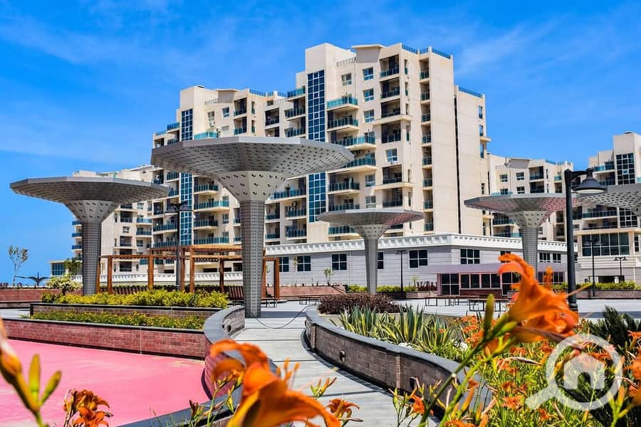 6 WhatsApp Image 2025-10-21 at 1.43. 52 PM (2). jpeg