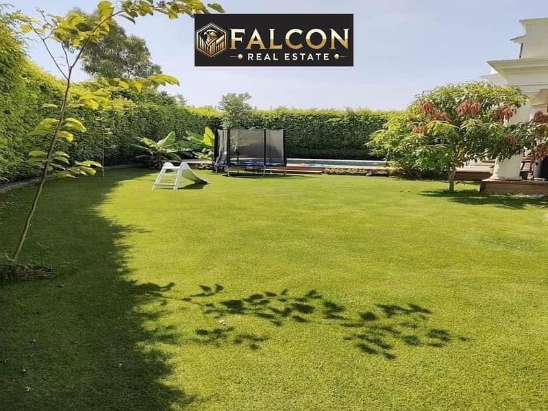 5 355075502_1045974959729559_8132902134266801419_n. jpg