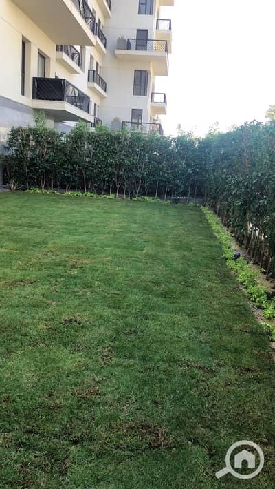 3 Bedroom Apartment for Rent in New Cairo, Cairo - WhatsApp Image 2025-10-19 at 2.12. 31 PM (1). jpeg