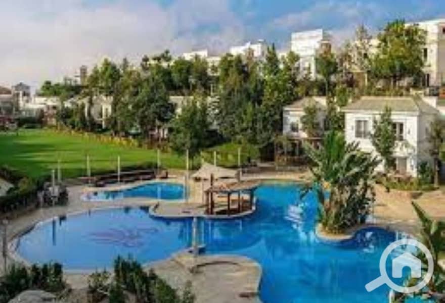 6 431b1daa-a906-4b5e-967a-9c51247dfb75. jpg