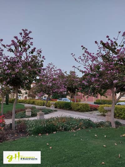 فلیٹ 3 غرف نوم للبيع في القاهرة الجديدة، القاهرة - IMG-20240124-WA0255. jpg فلیٹ 3 غرف نوم للبيع في القاهرة الجديدة، القاهرة - IMG-20240124-WA0255. jpg