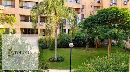 شقة 3 غرف نوم للايجار في القاهرة الجديدة، القاهرة - 95c3f72f-2513-48f3-ab20-c64bd0af9cea. jpg