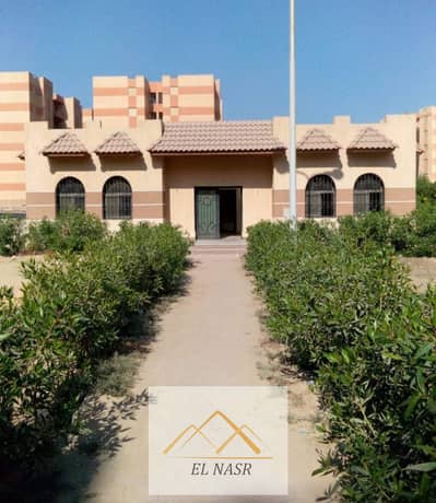 Commercial Building for Rent in Nasr City, Cairo - 1 (1). jpeg Commercial Building for Rent in Nasr City, Cairo - 1 (1). jpeg