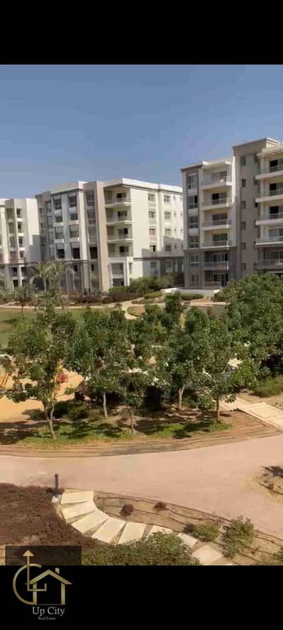 فلیٹ 3 غرف نوم للايجار في القاهرة الجديدة، القاهرة - 1000065785. jpg فلیٹ 3 غرف نوم للايجار في القاهرة الجديدة، القاهرة - 1000065785. jpg