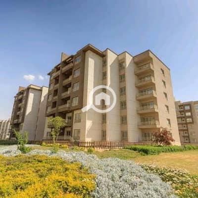 3 Bedroom Apartment for Sale in Shorouk City, Cairo - WhatsApp Image 2025-10-08 at 5.58. 35 PM (1). jpeg 3 Bedroom Apartment for Sale in Shorouk City, Cairo - WhatsApp Image 2025-10-08 at 5.58. 35 PM (1). jpeg