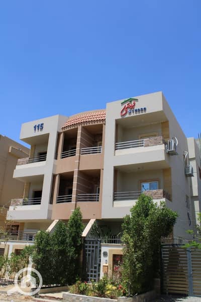 3 Bedroom Apartment for Sale in Shorouk City, Cairo - WhatsApp Image 2025-10-04 at 4.35. 19 PM. jpeg 3 Bedroom Apartment for Sale in Shorouk City, Cairo - WhatsApp Image 2025-10-04 at 4.35. 19 PM. jpeg