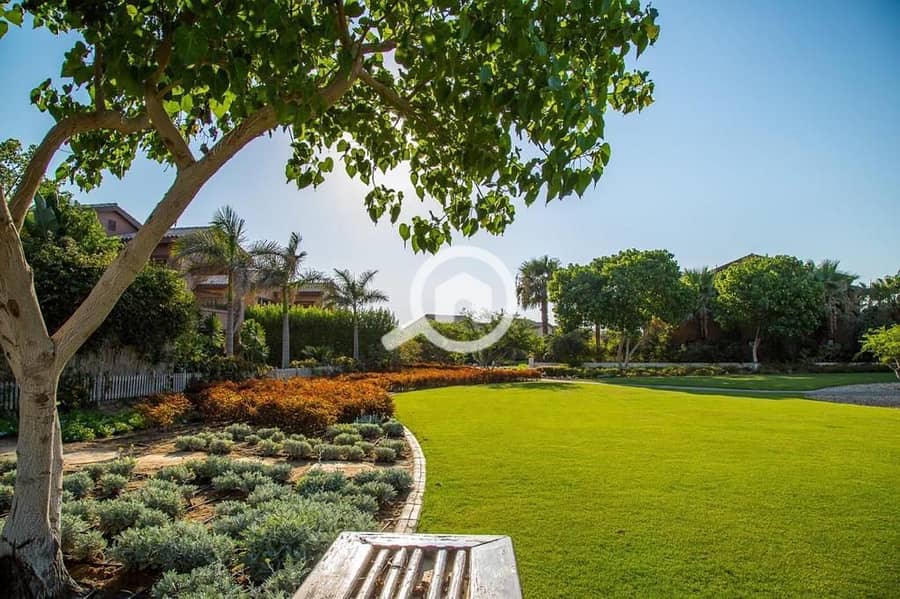 2 WhatsApp Image 2025-09-29 at 15.37. 37_dd9271f8. jpg