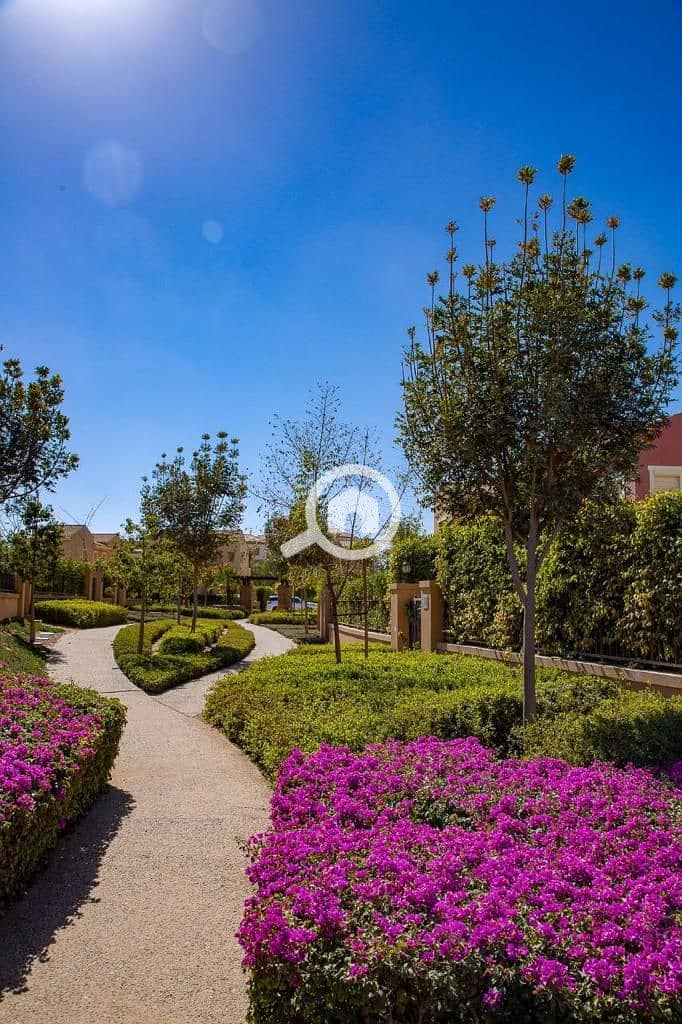 5 WhatsApp Image 2025-09-29 at 15.37. 39_011d9ca8. jpg