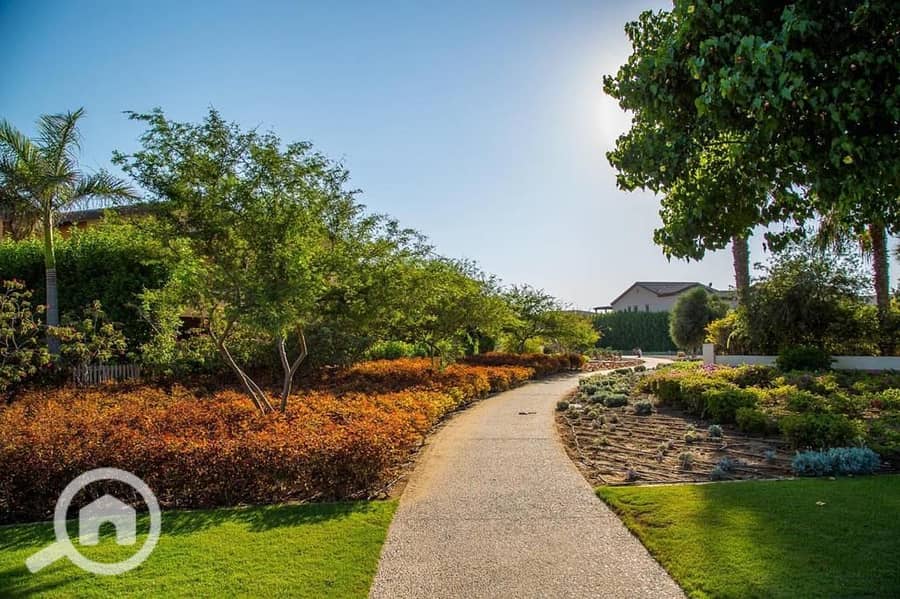 7 WhatsApp Image 2025-09-29 at 15.37. 41_8fbdaffa. jpg