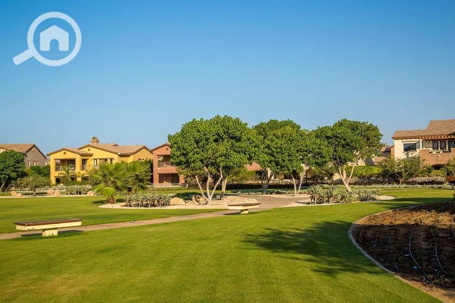 8 WhatsApp Image 2025-09-29 at 15.37. 44_679fffce. jpg