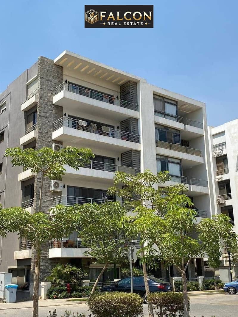 3 WhatsApp Image 2025-07-30 at 13.01. 08_2c5e4f98. jpg