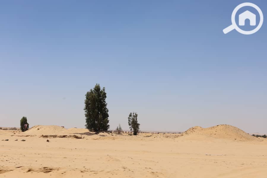 IMG_0229. JPG IMG_0229. JPG