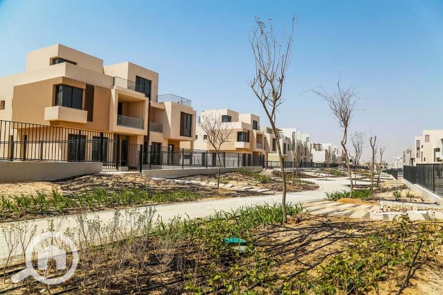 4 IMG-20251008-WA0074. jpg