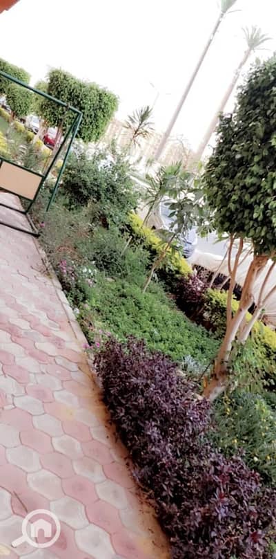 شقة 3 غرف نوم للايجار في مدينة المستقبل، القاهرة - 11bd48f9-5ca1-4f51-804a-f63720fc7487. jpg