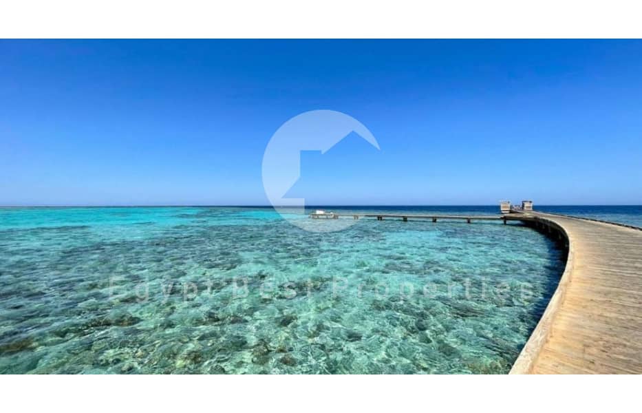 4 WhatsApp Image 2025-09-01 at 11.48. 17 AM. jpg