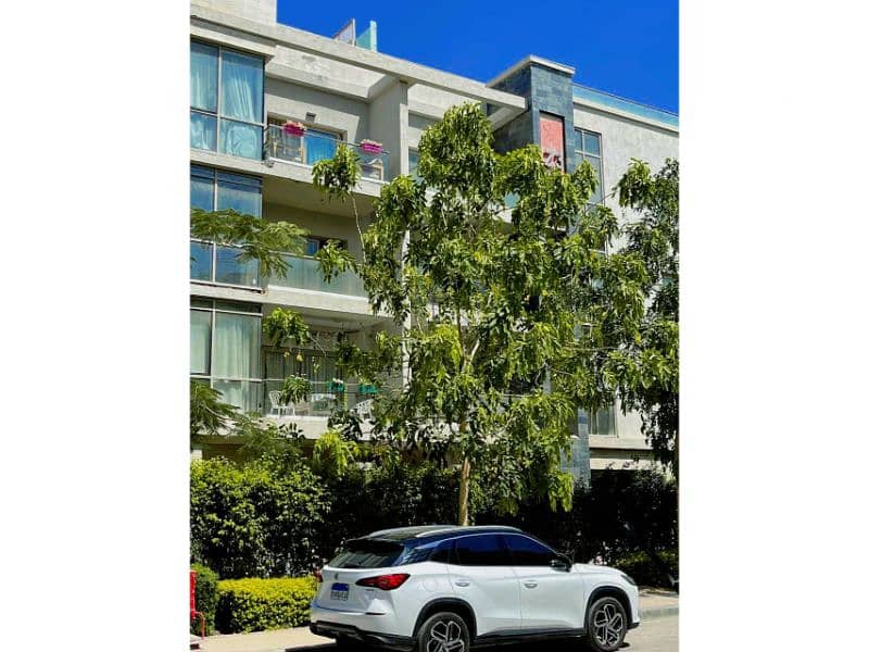 11 539307792_122181420596454983_2645772438262711992_n. jpg