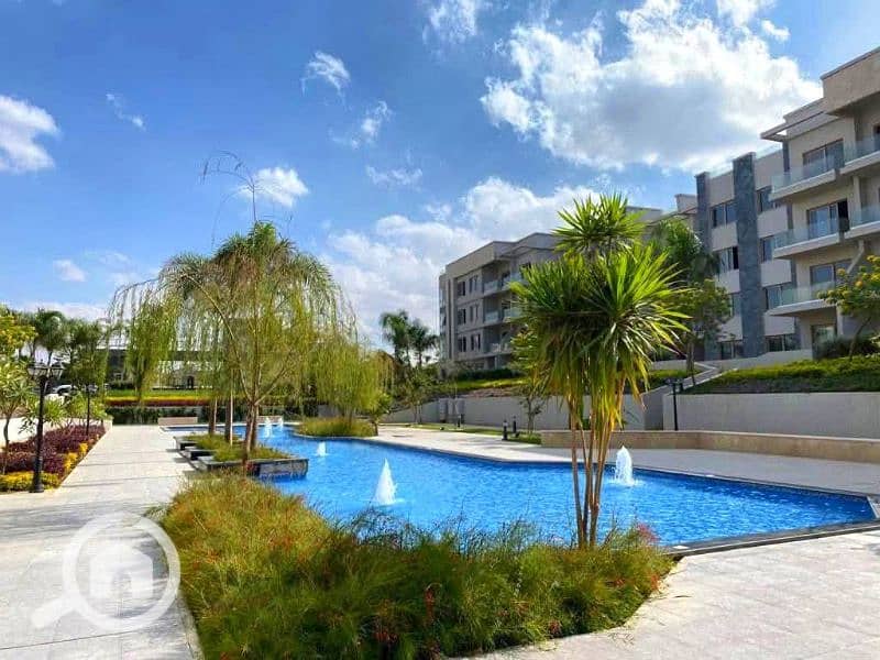 13 555660678_122186531978454983_6115069066785602909_n. jpg