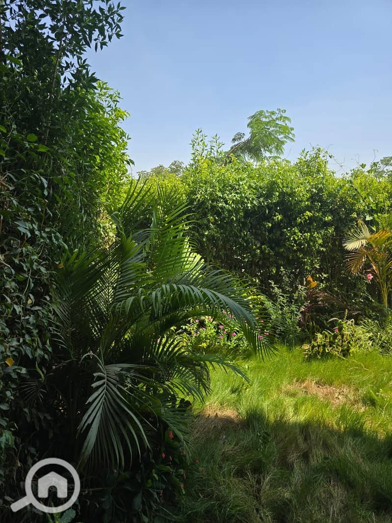 5 WhatsApp Image 2025-10-22 at 4.12. 14 PM (2). jpeg