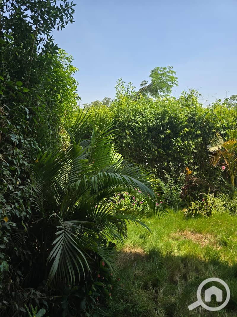 40 WhatsApp Image 2025-10-22 at 4.12. 25 PM (1). jpeg