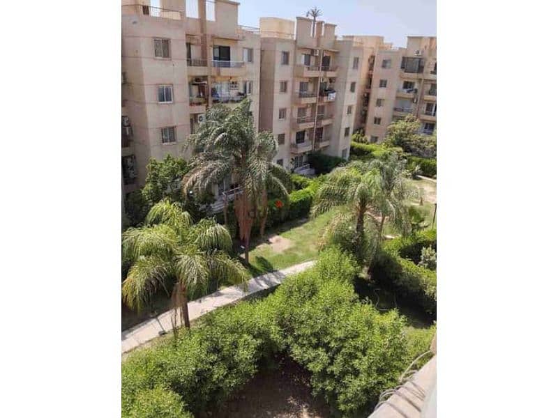 5 المستثمر الصغير2. jpg