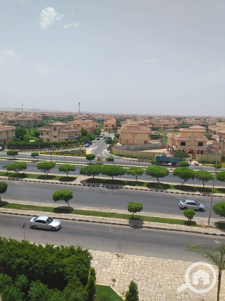 11 1622ec0a-112c-4f43-a5a1-c0dea981083a. jpeg